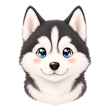 Husky